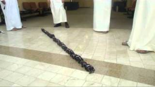 Training on Modular Snake Robots. KACST