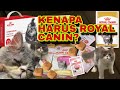 PAKET VIRAL TIKTOK! ROYAL CANIN KITTEN PERSIA | PANTESAN BANYAK YANG BELI, TERNYATA?