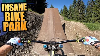 FULL SPEED AND HUGE JUMPS ON MY DOWNHILL BIKE  INSANE BIKE PARK!