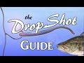 DROPSHOT Guide - The Most Effective Rig in Bass Fishing