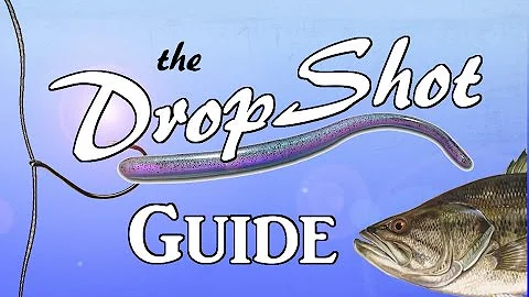 DROPSHOT Guide - The Most Effective Rig in Bass Fishing