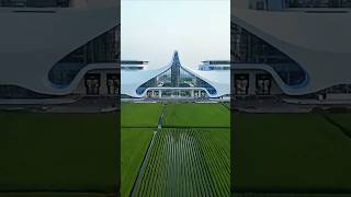 Future Rice Grain #factorymotion #foodfactory  #transformation  #VietnamInnovation