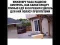 Спецназ для белок