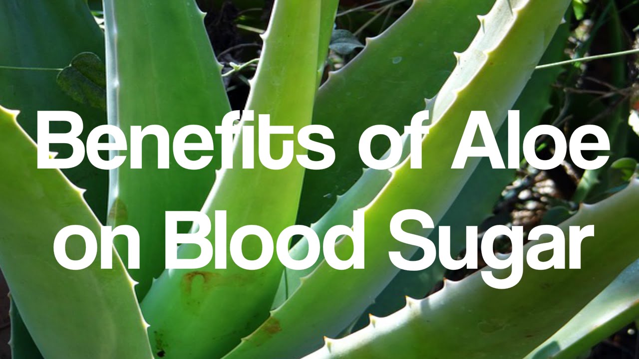 Doctors Recommend Aloe Vera Diabetes Youtube