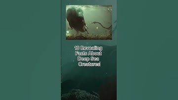 10 Reveal Facts About Deep Sea Creatures