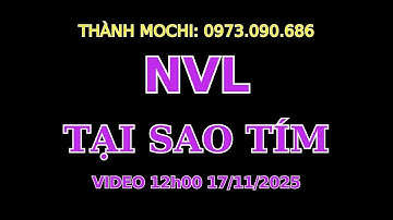 NVL CII CEO  | TOP cổ phiếu mạnh Cho Nhà Đầu Tư Năm 2025 Bạn Nên Biết |  | CHỈNH VỀ ĐÂU  ?