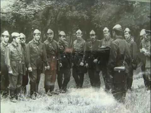 Проект пастырь 1982 1986 год