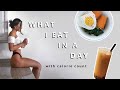 ⭐ *realistic* WHAT I EAT IN A DAY ⭐