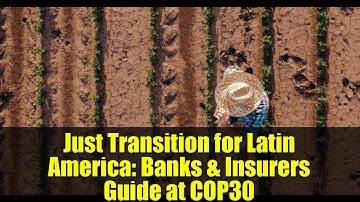 Just Transition for Latin America: Banks & Insurers Guide at COP30