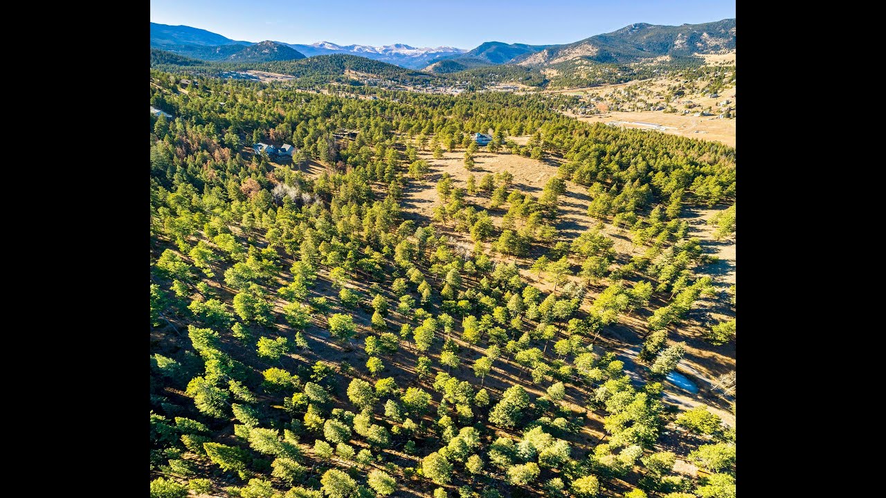 3325 Timbergate Trail, Evergreen - Tracy Molleur of Compass