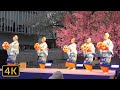 4K【六本木ヒルズで花笠踊り👘】東京初披露❗️元モップスの🎸星勝氏がアレンジ『花笠音頭☆』他 2023.4.2 @六本木ヒルズアリーナ