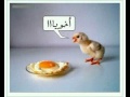 اخويا فلوس 
