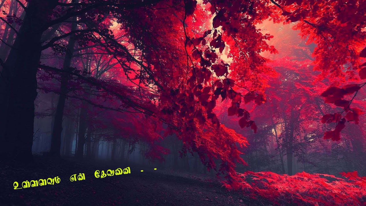 உள்ளளவும் என் தேவனை | Priyam Melodies | Tamil Christian Song |ullalavum |