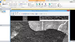 orthorectification (using DEM)