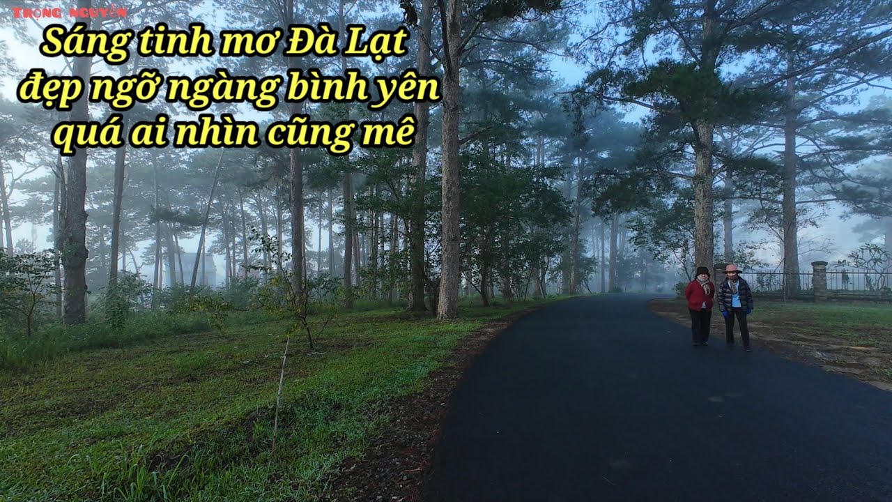 Sáng sớm tinh mơ Đà Lạt đẹp ngỡ ngàng, nhìn cảnh sống bình yên thích quá