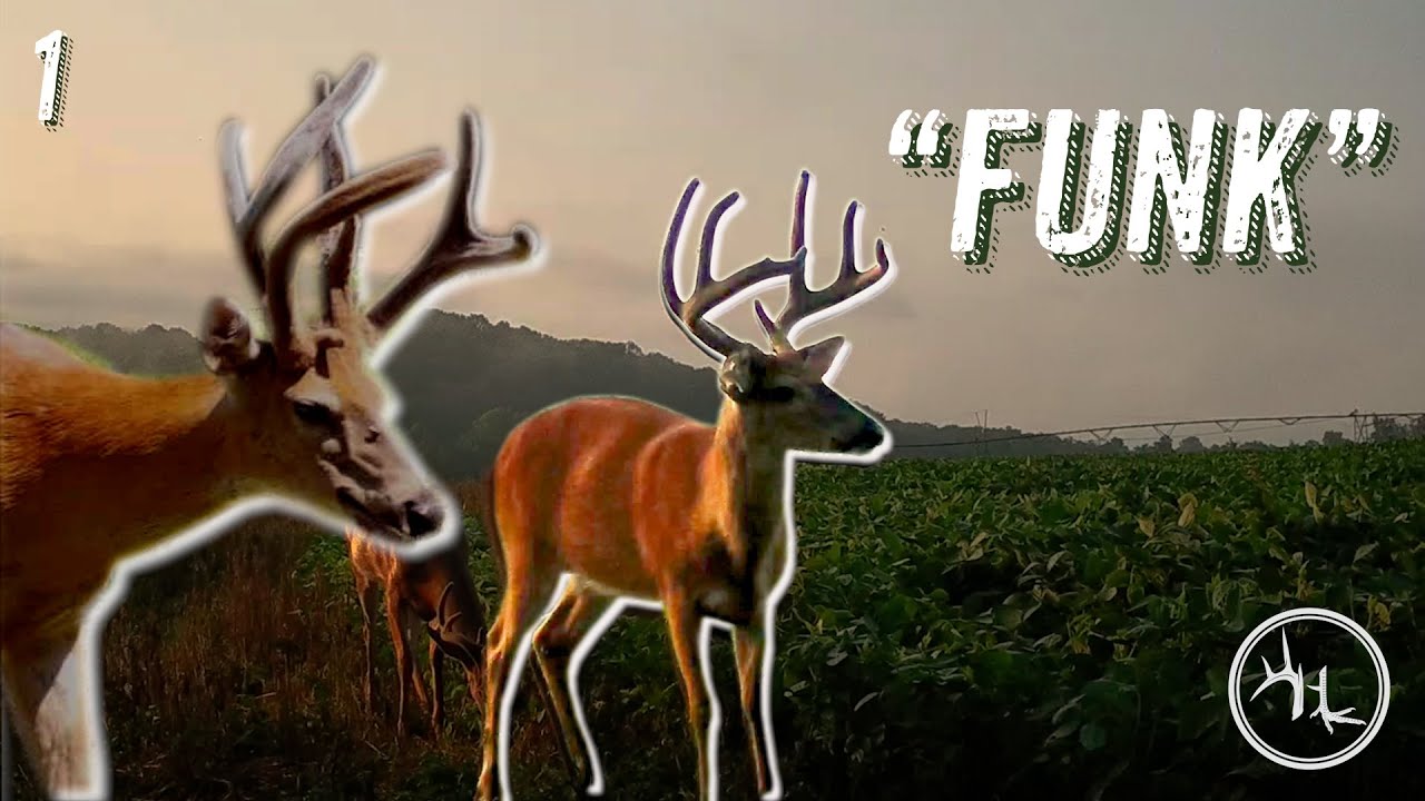 Velvet Bucks in EXTREME heat!