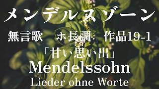 【メンデルスゾーン】 無言歌 【甘い思い出】Mendelssohn Lieder Ohne Worte E Dur Op.19 - 1