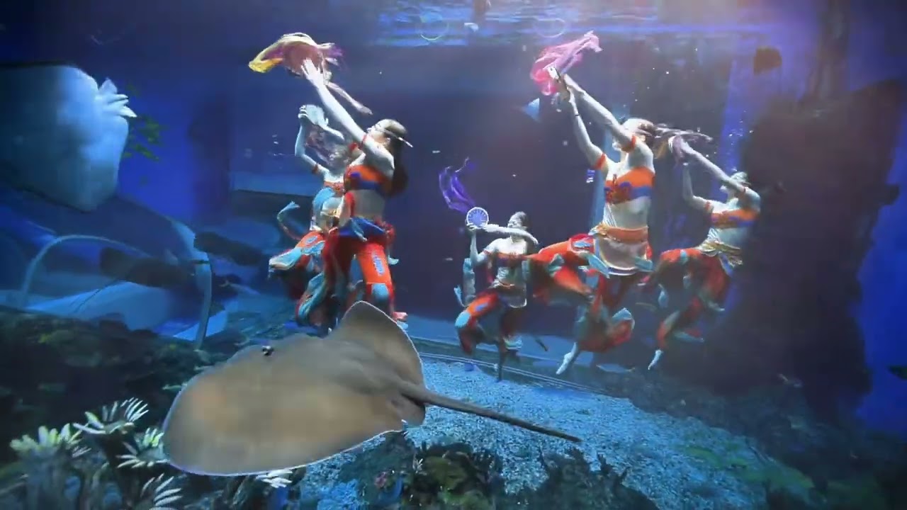 Guangzhou Ocean World's Underwater Dunhuang Dance Stuns Audiences