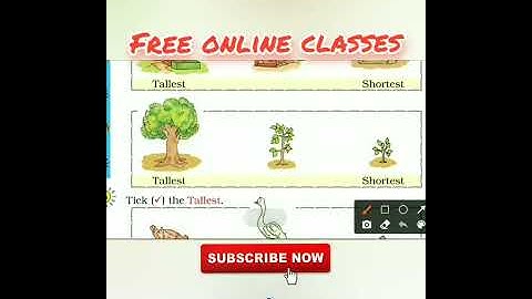 Chapter 7 Measurement | Tallest Shortest | NCERT Class 1 Maths