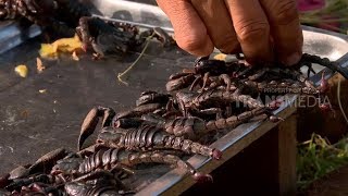 Kalajengking Bumbu Kuning | JEJAK SI GUNDUL (26/07/18) 1-3