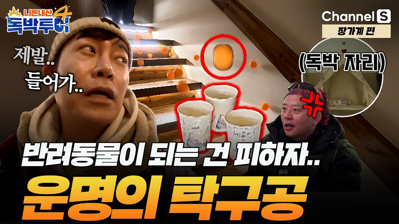 [Ep.40-1] 꼴지하면 1등의 반려동물?! 탁구공이 정하는 운명🏓 [#독박투어4] #장가계 | 시즌4