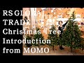 【2021年入荷】RSグローバルトレード社のクリスマスツリーのご紹介 | Introduction of Christmas trees from RS Global Trade, Germany