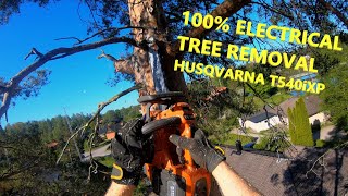 Tree climbing with big dropzone | Husqvarna T540iXP by patkarlsson 9,849 views 1 year ago 21 minutes