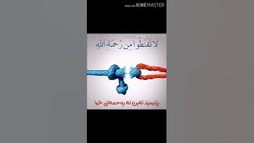 سورة الزمر آية 53