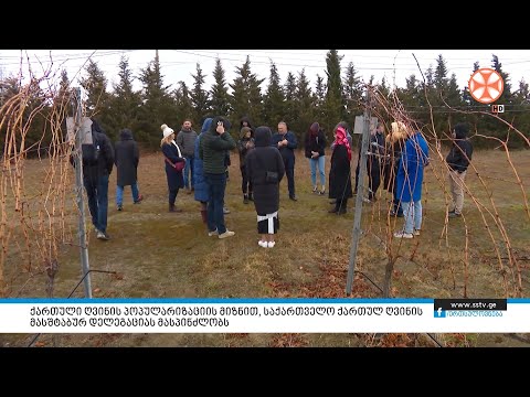 ქართული ღვინის პოპულარიზაციის მიზნით, საქართველო ქართულ ღვინის მასშტაბურ დელეგაციას მასპინძლობს