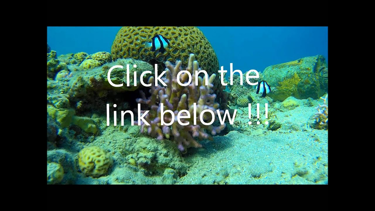 ClickMeter - another way to make extra money online.