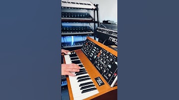 Rush - Subdivisions solo on a Moog Minimoog #rush #moog #shorts
