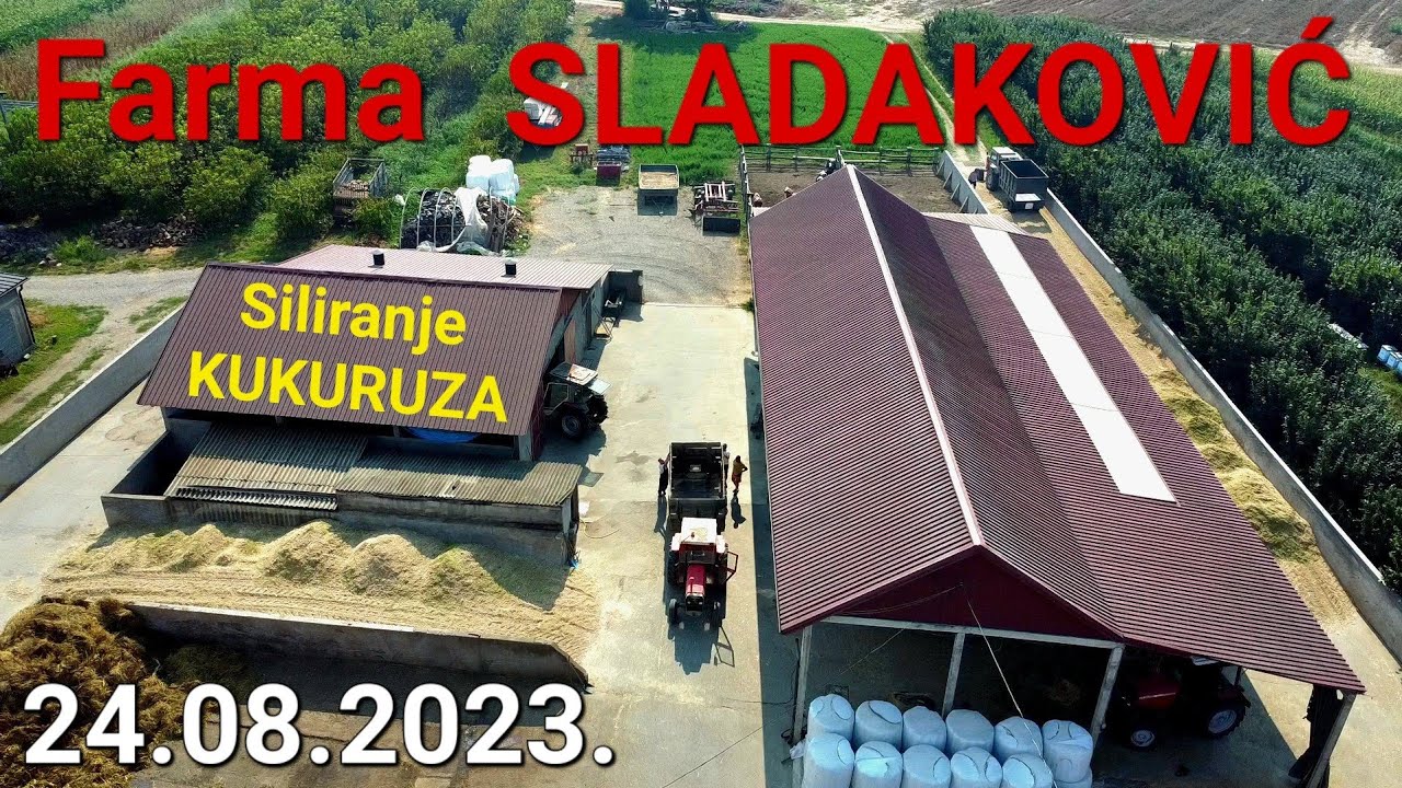 Siliranje Kukuruza na Farmi Sladakovic | CLAAS JAGUAR 690 SL | BASAK 2110S | ArmaTrac 604E | IMT 577