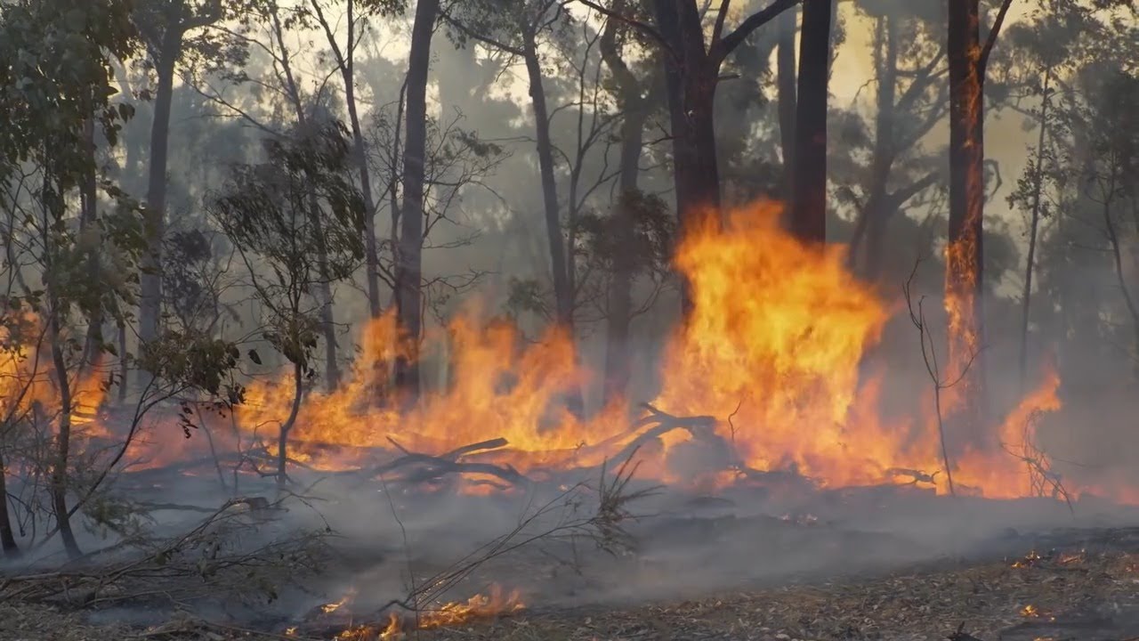 Завершение операций 14 января 2026 года