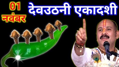 1 नवंबर देवउठनी एकादशी के दिन 5 लौंग मिर्च में गाड़ देना वाला उपाय जरुर करे || Pradeep Ji Mishra 