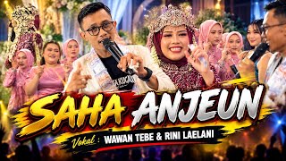 SAHA ANJEUN NAEK DI OBOK OBOK - wawan tebe & rini laeani | versi bajidoran | RIGIG BAJIDORAN BANDUNG