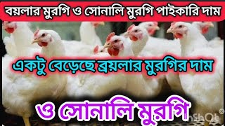 জুলাই ২০২৫ | Broiler & Sonali Murgi Price Today | আজকের পাইকারি দাম