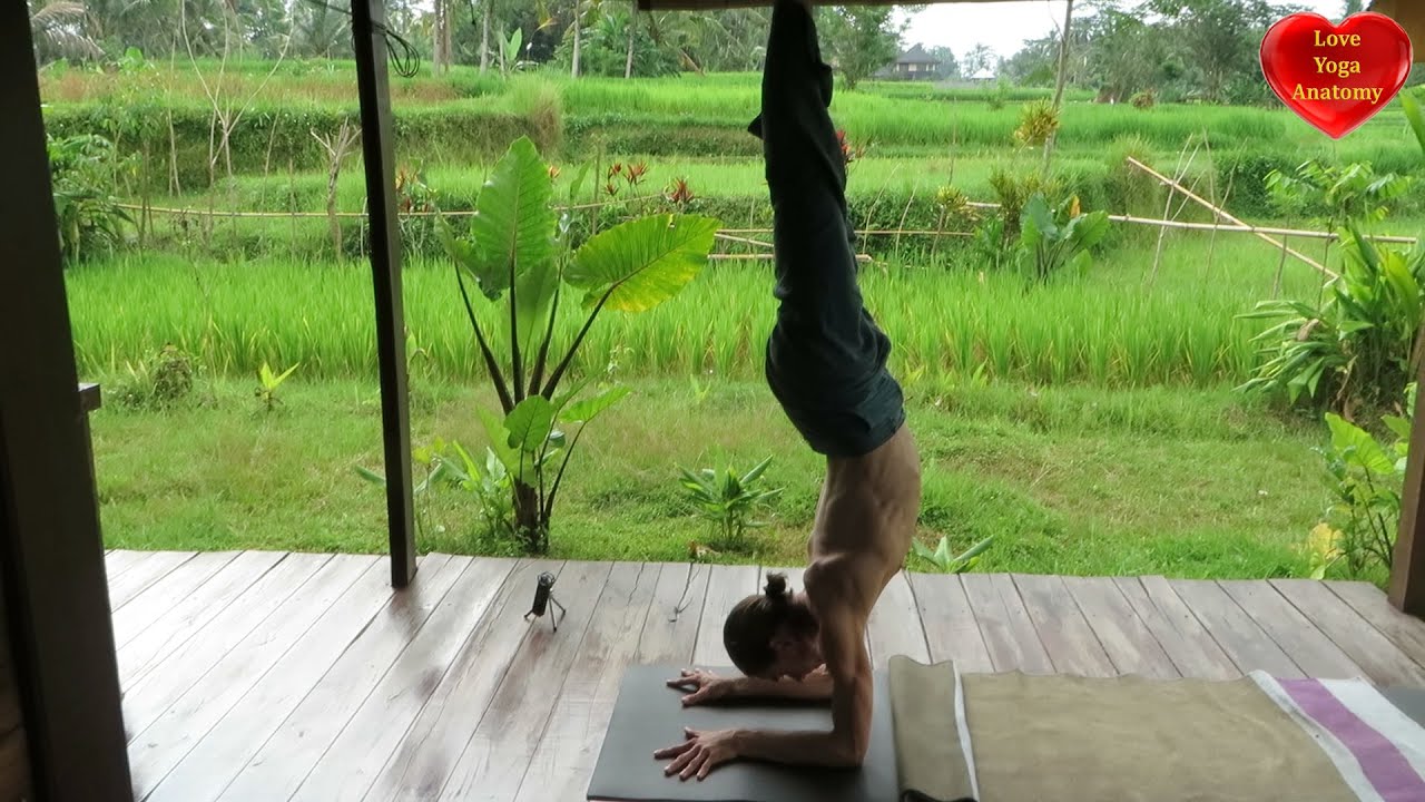 Yoga Pose Breakdown — Pincha Mayurasana aka Feathered Peacock Pose - a step  by step guide 