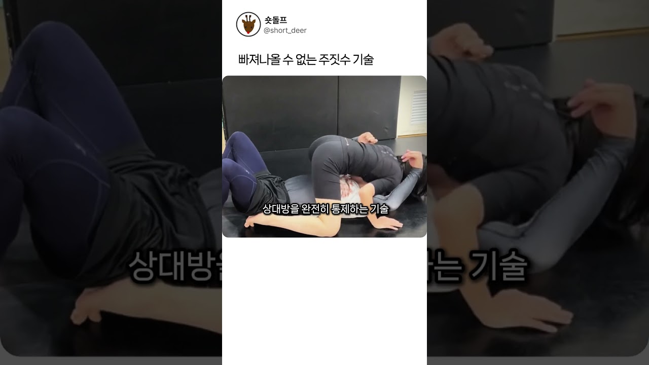 빠져나올 수 없는 주짓수 스킬 #주짓수