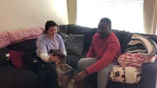 OKC Dog Training | Tip Top K9 | "It was great!"