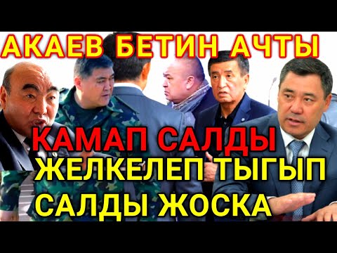 Video: Сак болгула, мушташуучу