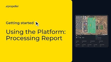 Platform & Data Analytics: Processing Report
