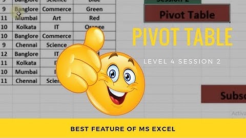 MS Excel Pivot Table Level 4 Session 2
