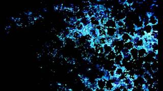 Potato cells exposed to iodine