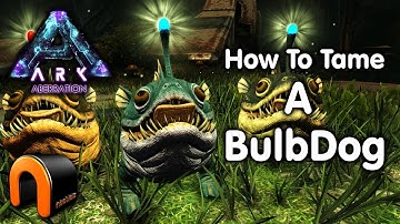 Ark - HOW TO TAME A BULBDOG On Aberration