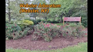 🌳 Webster Arboretum (Webster, NY) | The Garden of Many Smells 🌼