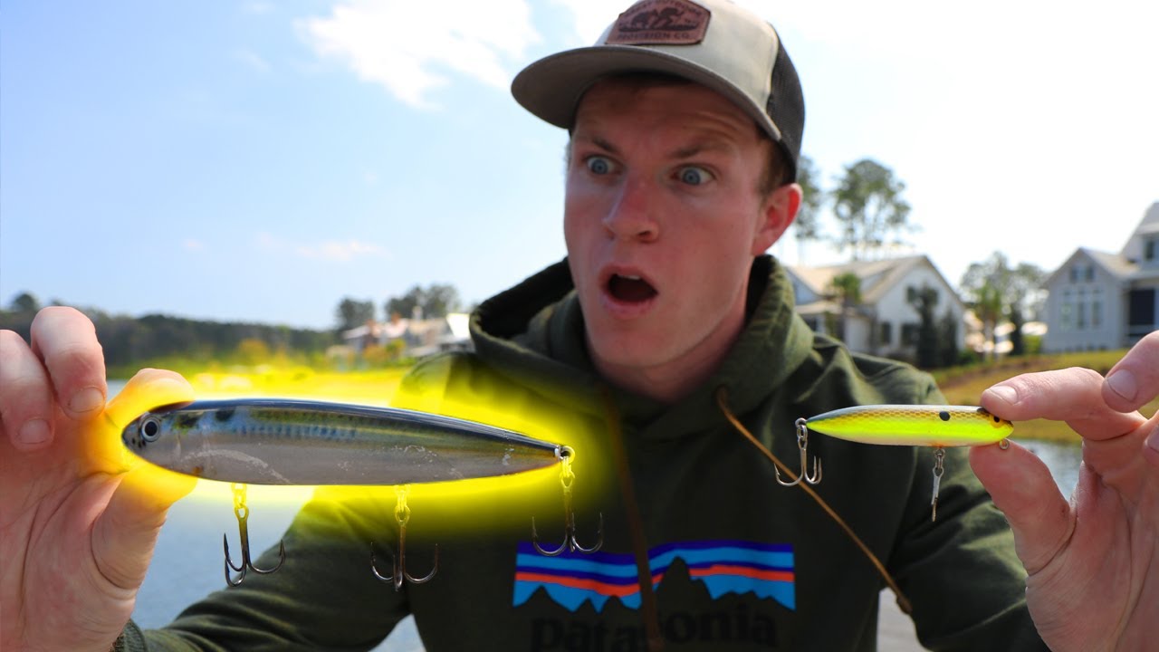 GIANT TOPWATER Bait Getting CRUSHED By Hungry Bass!!!