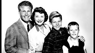 1950s TV Sitcoms Provoked The 60s Generation