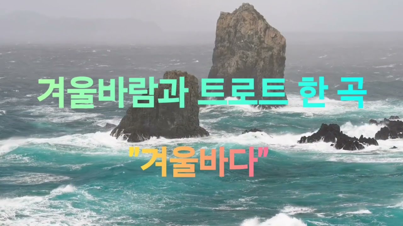 🎙겨울바람과 트로트 한 곡 🎶 [겨울바다]🎵 