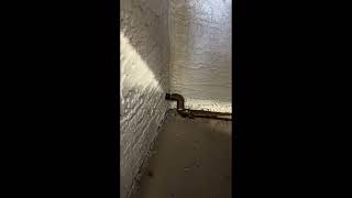This must be a flip property