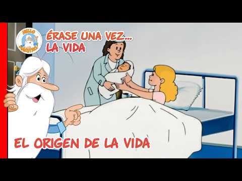 El origen de la vida | Recopilación de Episodios | Érase Una Vez... La Vida